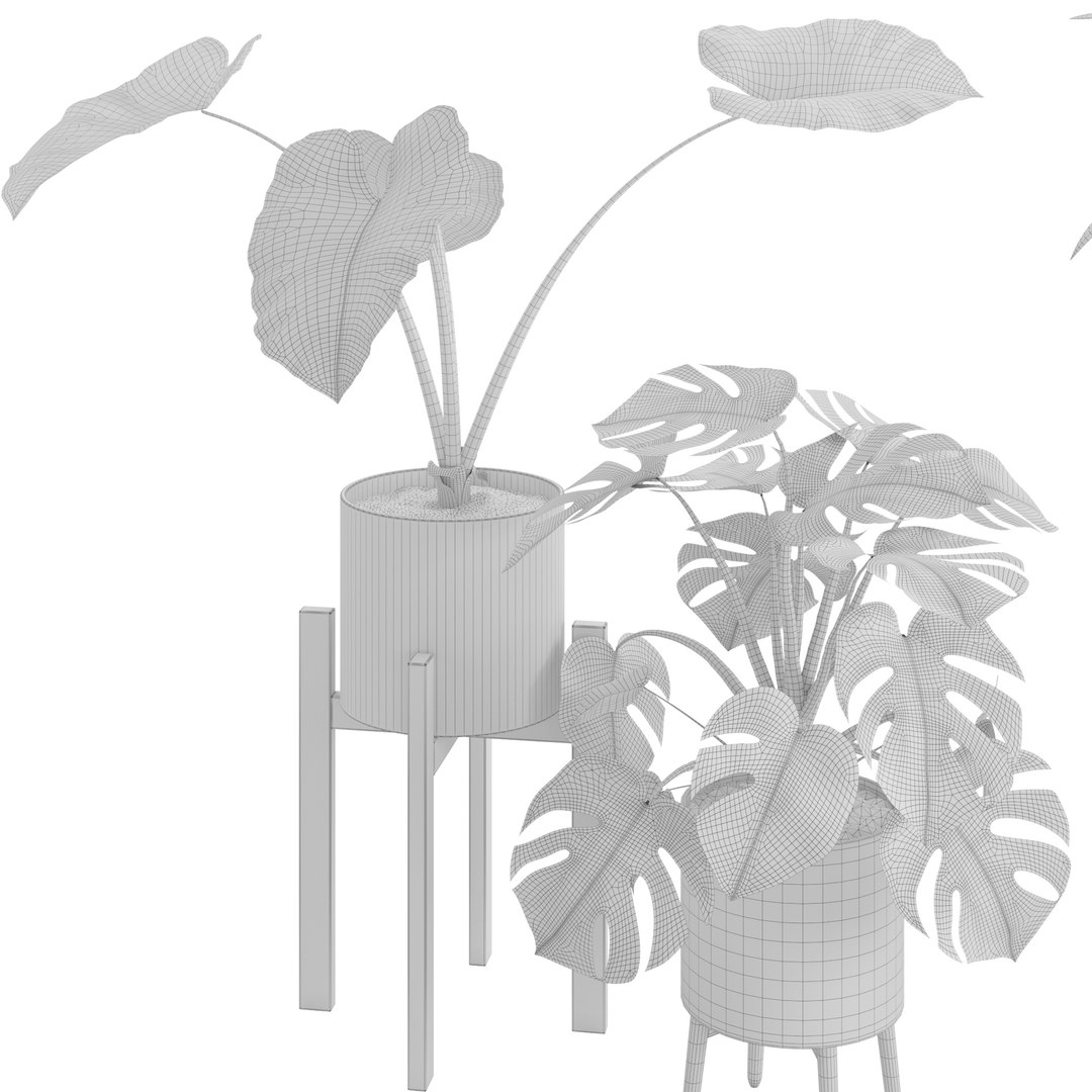 Houseplant72Coronamax 3D https://p.turbosquid.com/ts-thumb/Zv/IxdDuT/MB/7/jpg/1644218688/1920x1080/fit_q87/84022831607b75d2427baa51a7e129712d6f24b2/7.jpg