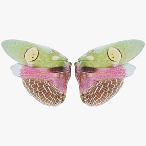 Creoboter Mortis Java Remastered 3D model