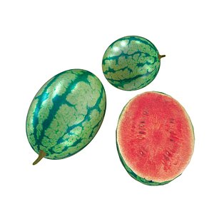 fruits 3D model