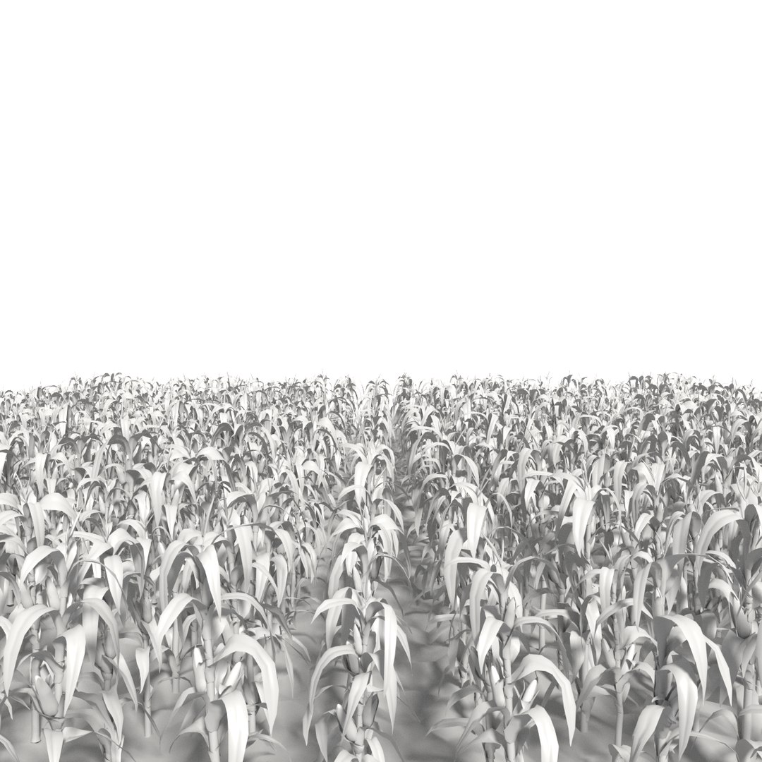 Corn Field 3d Model