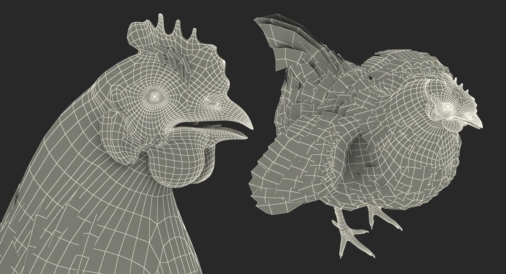 3D Chickens Hen Realistic - TurboSquid 1200617