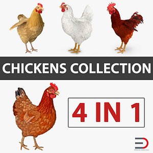 Chickens 3D Models Collection