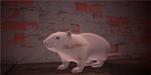 furry rat 3D