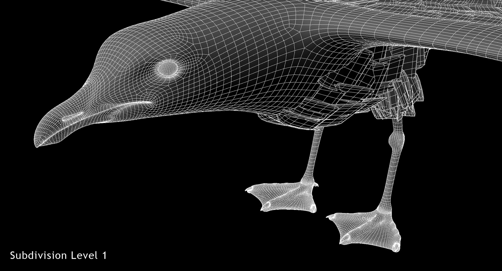 3D california gull animation flying https://p.turbosquid.com/ts-thumb/Zw/c5DJLd/AzBon9S7/w6/jpg/1516965294/1920x1080/fit_q87/e0ba21ff7ef19936c645d8c3d1d9353d9c9b89ae/w6.jpg