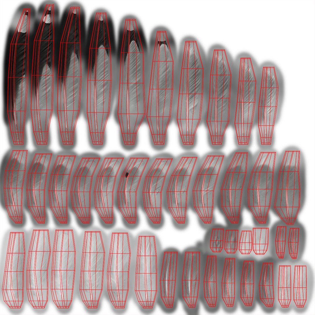 3D california gull animation flying https://p.turbosquid.com/ts-thumb/Zw/c5DJLd/PYmmSnRY/wing_uv/jpg/1516965489/1920x1080/fit_q87/5d68c7980aa8e8ded38bac92e1b1d5724e5e2cf3/wing_uv.jpg