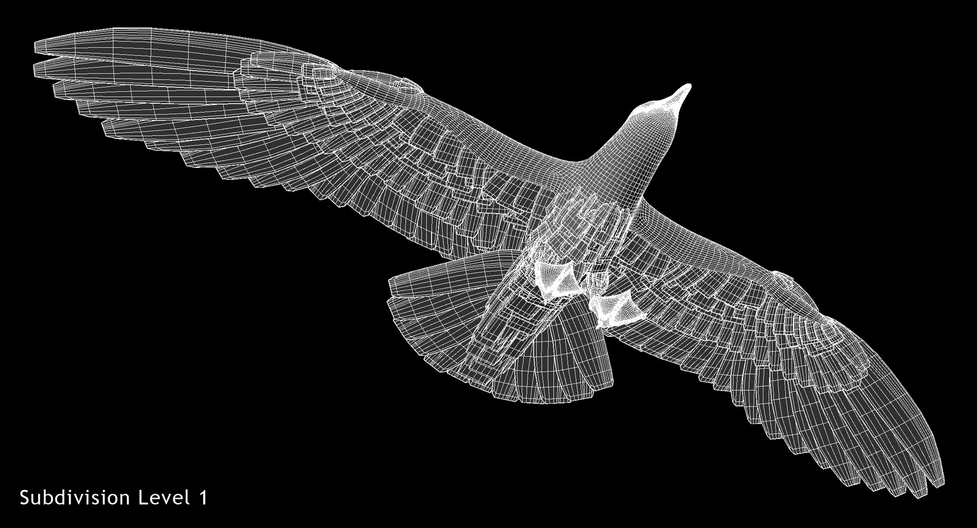 3D california gull animation flying https://p.turbosquid.com/ts-thumb/Zw/c5DJLd/U26zyruQ/w4/jpg/1516965294/1920x1080/fit_q87/5c3072e796579bfb1db2073f1718513e9f1a3ce4/w4.jpg