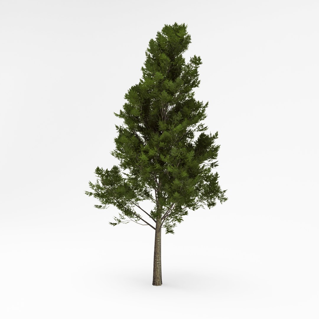 deciduous 026 3d 3ds https://p.turbosquid.com/ts-thumb/Zw/kvmKtZ/l5WozWMO/03/jpg/1409061684/1920x1080/fit_q87/92ae80fafe64184551d80c3cb4a3c152b2bf3303/03.jpg