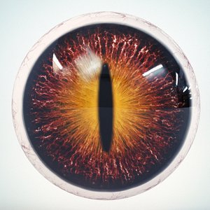 Cat Eye Brown Low Poly