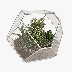 Florarium  with succulents 3D