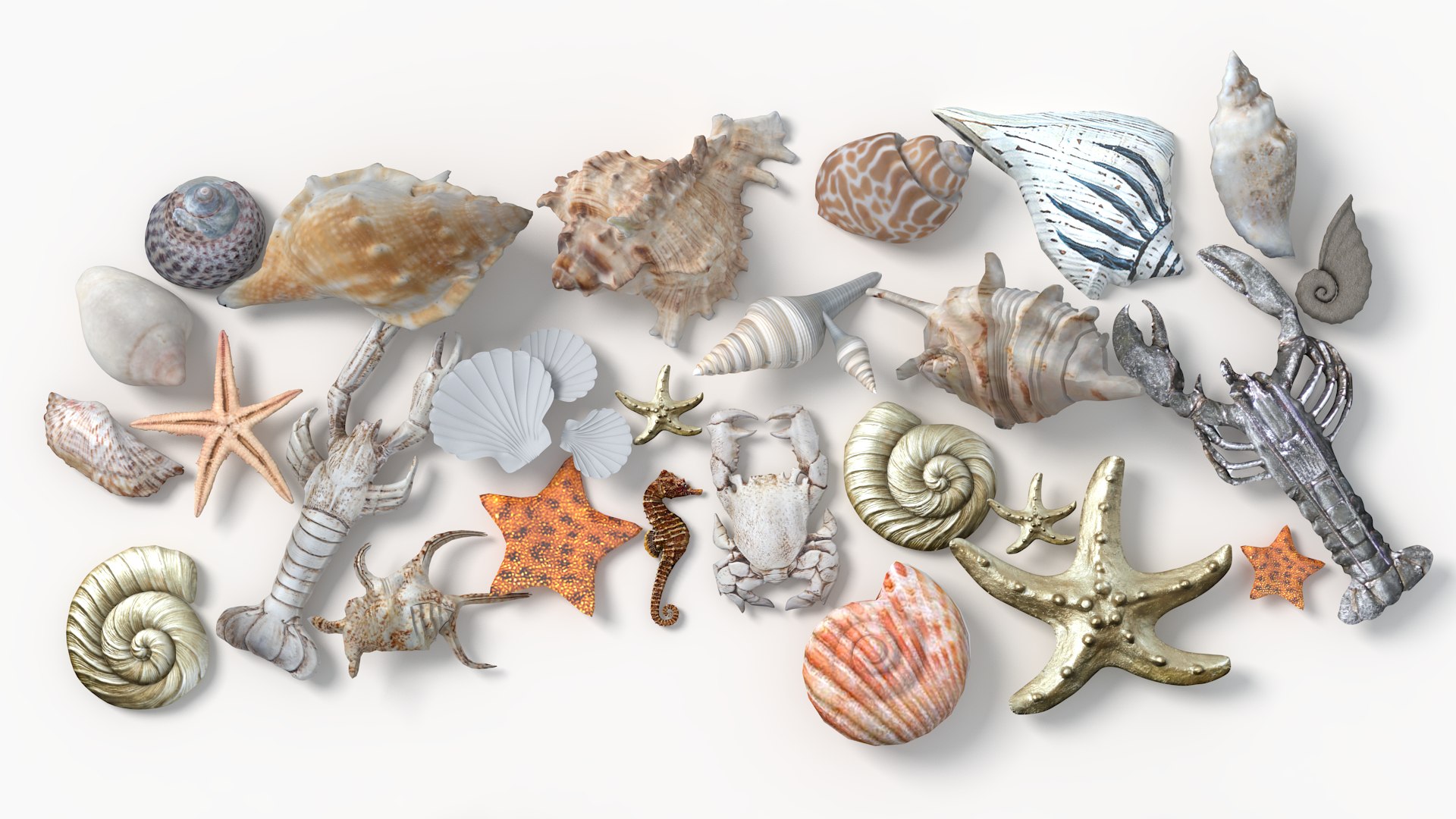 Conch Shell 3D https://p.turbosquid.com/ts-thumb/Zx/BEaS9s/0Q/4/png/1785483494/1920x1080/fit_q87/cab40b2c0db4d78fc3d1fdf18305081c33938c88/4.jpg