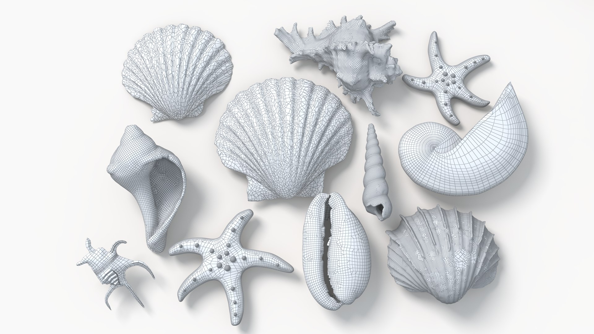 Conch Shell 3D https://p.turbosquid.com/ts-thumb/Zx/BEaS9s/Rp/wl1/png/1785483500/1920x1080/fit_q87/d5bed5a4b24e5e7b79f7e332d0c3b7cc7b0b9233/wl1.jpg