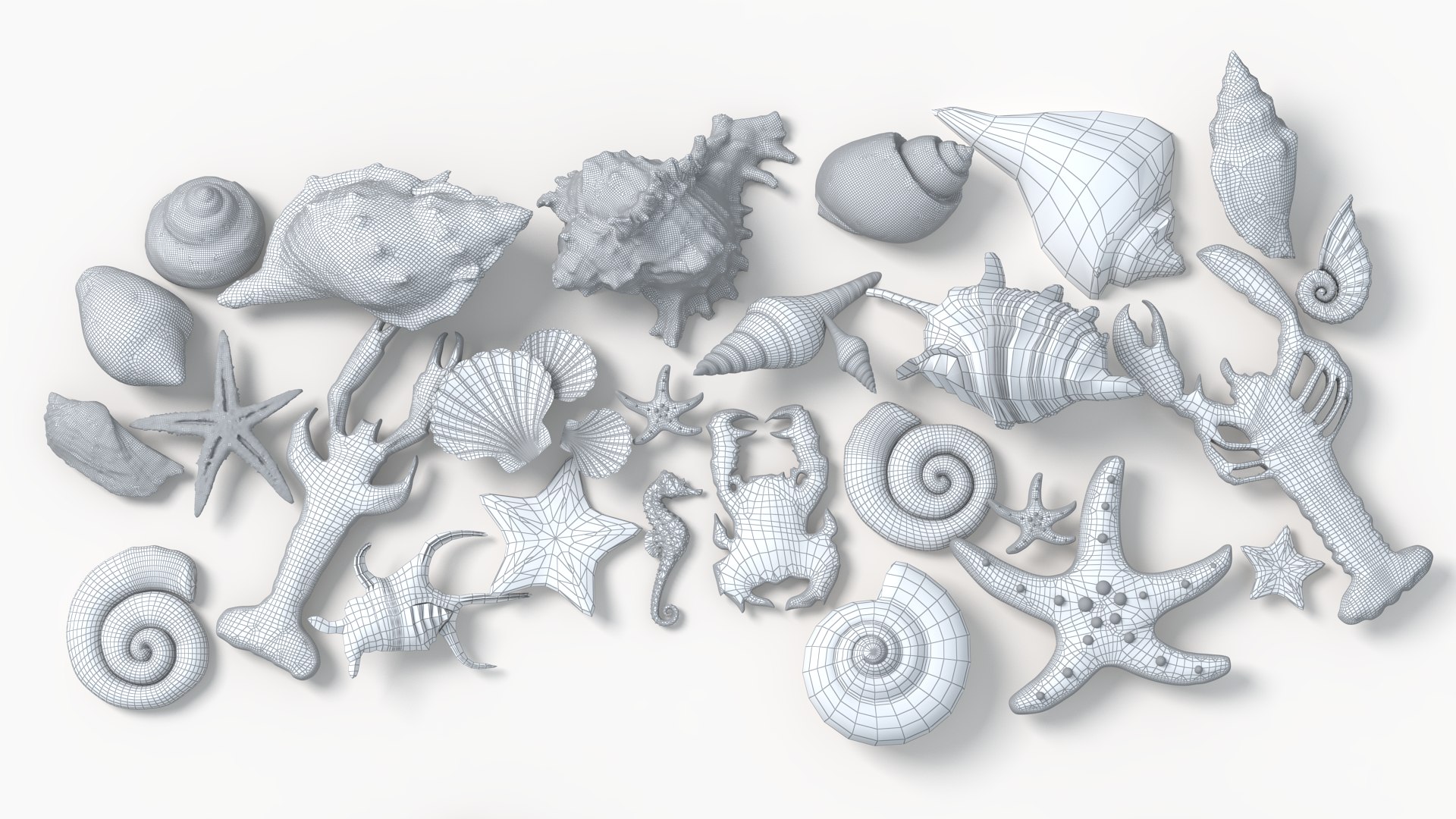 Conch Shell 3D https://p.turbosquid.com/ts-thumb/Zx/BEaS9s/T4/wl3/png/1785483486/1920x1080/fit_q87/c44a72d0bd7a5bb8a6072e89c9ad146e366ad71a/wl3.jpg