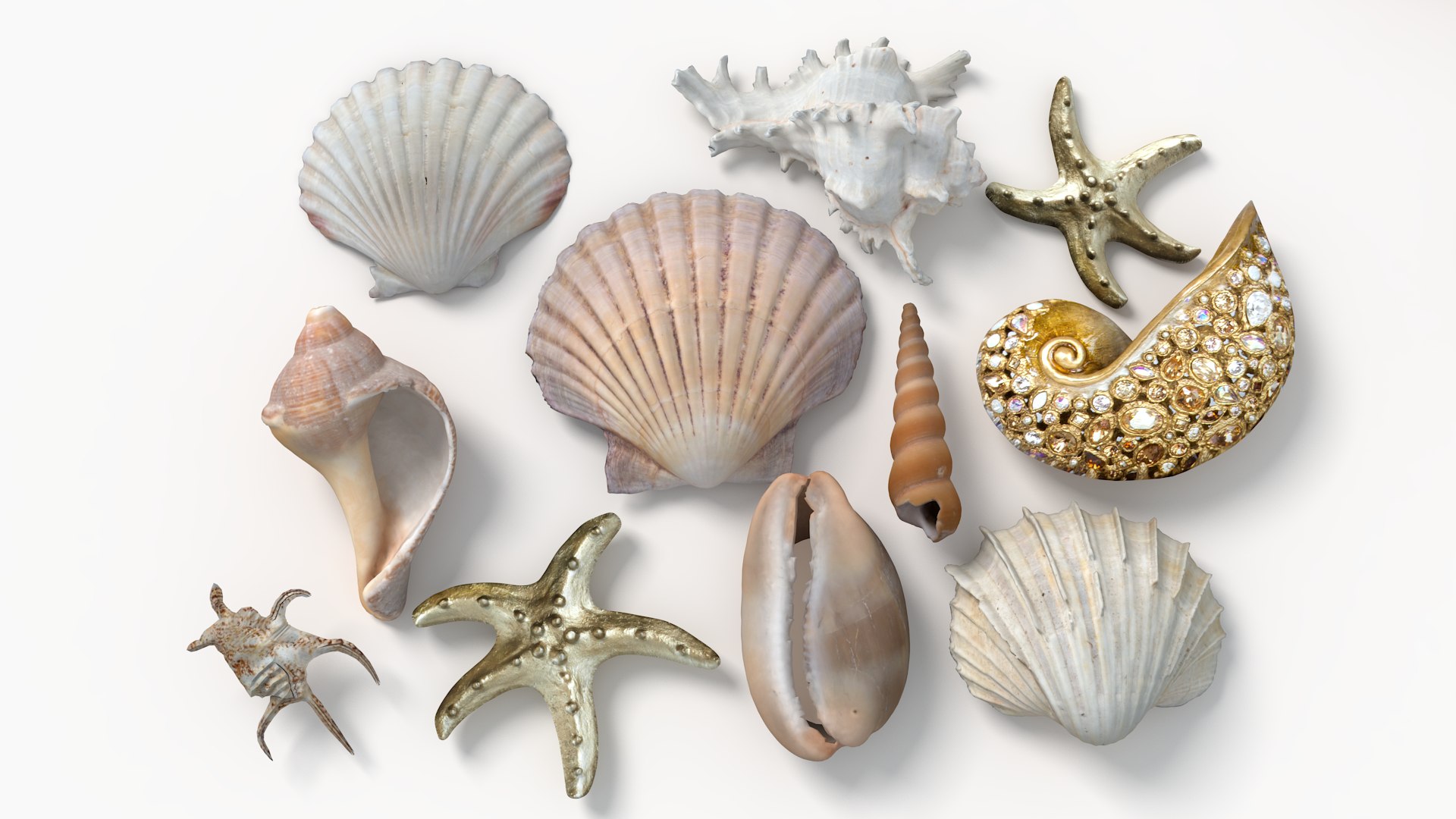 Conch Shell 3D https://p.turbosquid.com/ts-thumb/Zx/BEaS9s/UW/3/png/1785483491/1920x1080/fit_q87/4b66caab1f4f97dfb88d11cb84da354ea22b7d08/3.jpg
