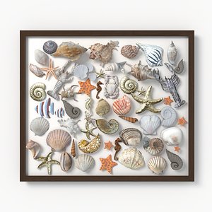 Conch Shell 3D