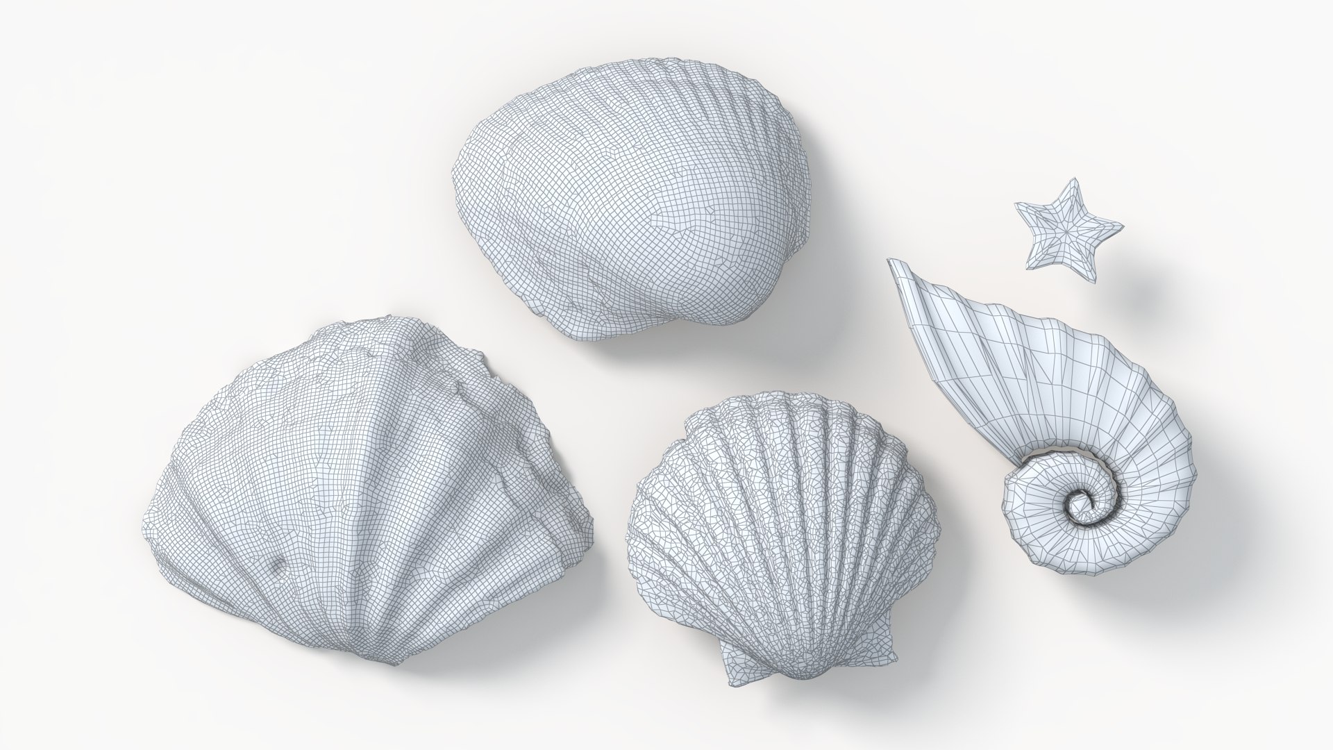 Conch Shell 3D https://p.turbosquid.com/ts-thumb/Zx/BEaS9s/jz/wl2/png/1785483501/1920x1080/fit_q87/fd66ac17d5604888bc1510eb6e11198770fc8d56/wl2.jpg