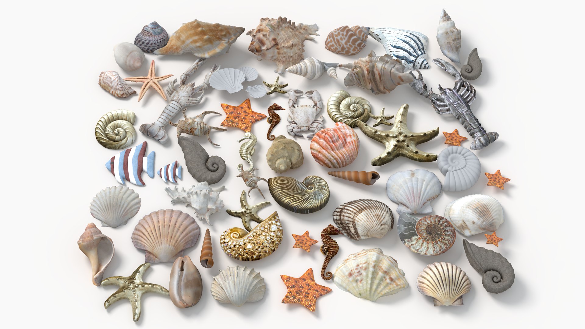 Conch Shell 3D https://p.turbosquid.com/ts-thumb/Zx/BEaS9s/qy/5/png/1785483496/1920x1080/fit_q87/65f289baf711574ff3993198866f74f7608fe24d/5.jpg