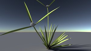 3D grass plant model