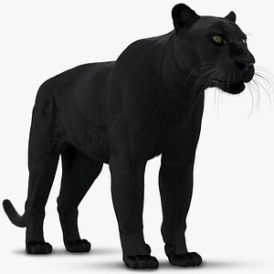 3D black panther leopard fur