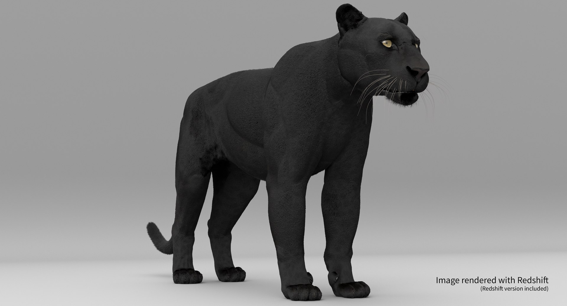 3D Black Panther Leopard Fur - TurboSquid 1424216