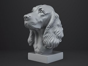 Cocker Spaniel Dog Bust 3D model