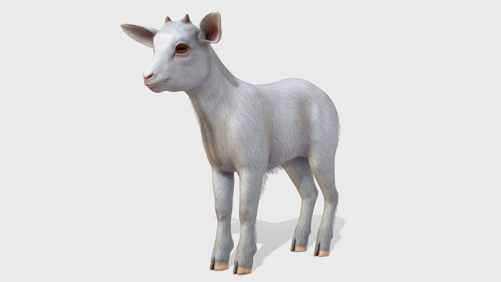 Goatling Model - TurboSquid 1938356