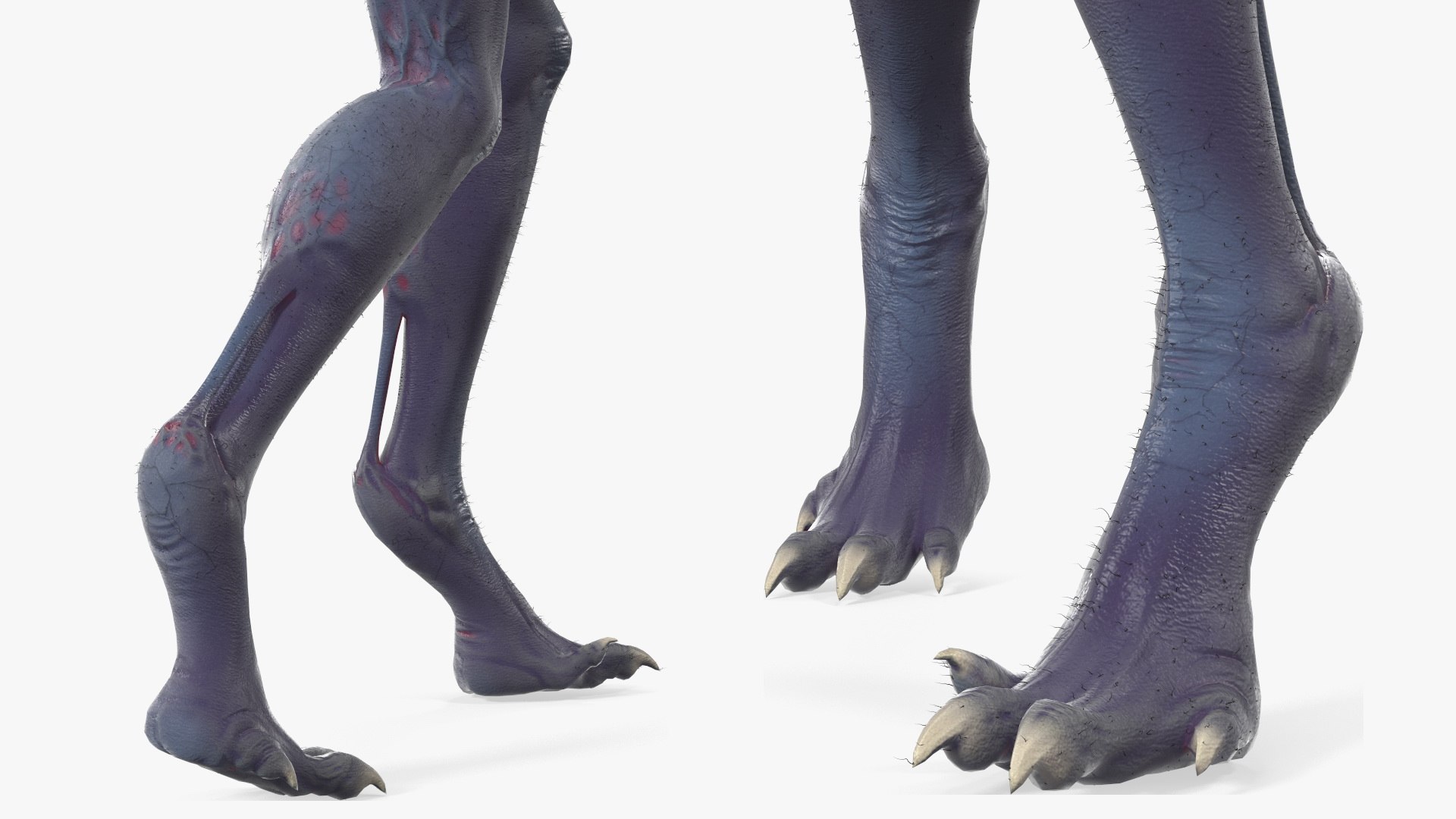 scary creature standing pose 3D model https://p.turbosquid.com/ts-thumb/Zx/JCpyEb/wi/scarycreaturestandingposefurc4dmodel016/jpg/1614593236/1920x1080/fit_q87/edf44353f9cadd72ce7d6bb47a701e1b9bf238b7/scarycreaturestandingposefurc4dmodel016.jpg