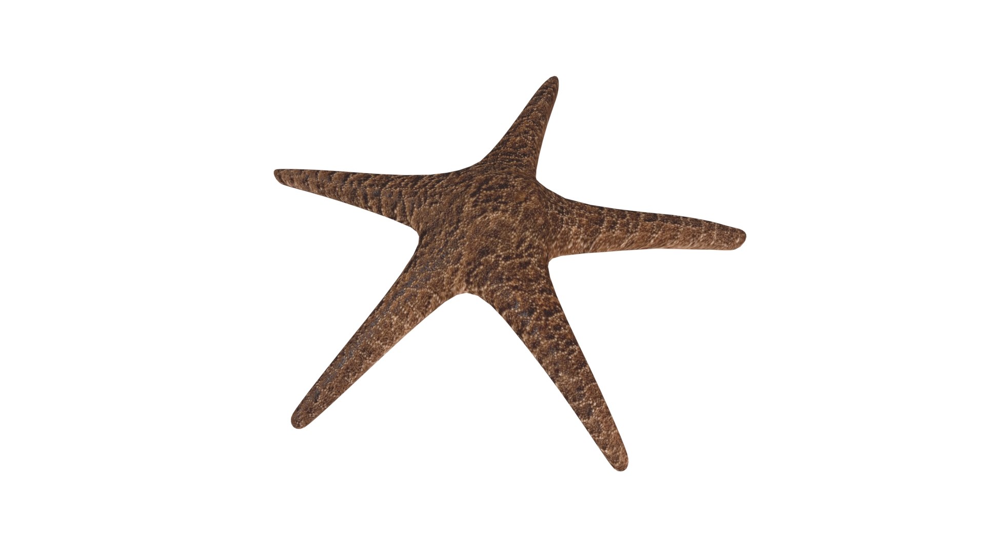starfishes rigged 3d model https://p.turbosquid.com/ts-thumb/Zx/QMEm67/96tn2VFR/starfishes_th_17/jpg/1581630397/1920x1080/fit_q87/11f9c4a7714dcc0e156506918c4481ac7274066a/starfishes_th_17.jpg