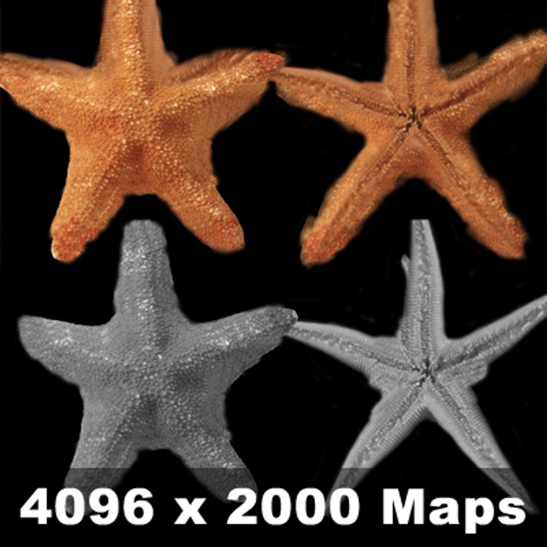 starfishes rigged 3d model https://p.turbosquid.com/ts-thumb/Zx/QMEm67/jxqehKag/starfish_th05/jpg/1184545205/1920x1080/fit_q87/c30c63fa0e295b3d72ade6f96f2b5bb9ed248448/starfish_th05.jpg
