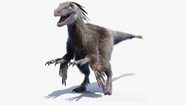 恐竜 ヴェロキラプトル3Dモデル - TurboSquid 1590495