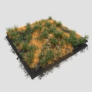 Common Snowdrop Meadow Patch and Free Gift 3D model