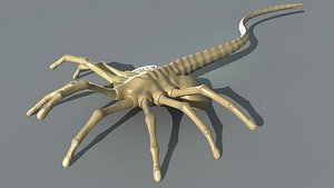 Facehugger