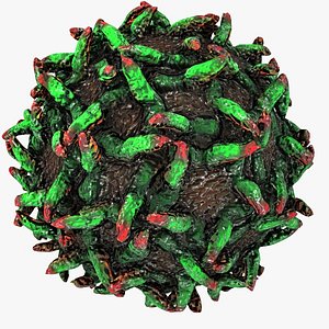 yellow fever virus max