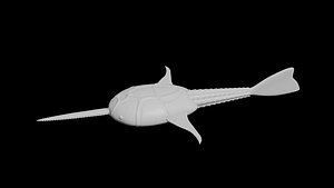 Doryaspis sp.