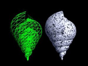 shell01
