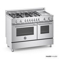 Bertazzoni range