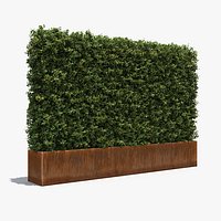 Boxwood Hedge in a Planter with a Steel Rusted Patina Finish