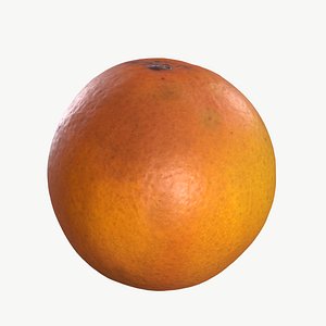 High Quality Scan Orange - 2 3D model