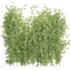 3D model Creeper Plants vol 100-3dmodel