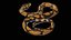 Palla Royal Python Snake truccato PBR