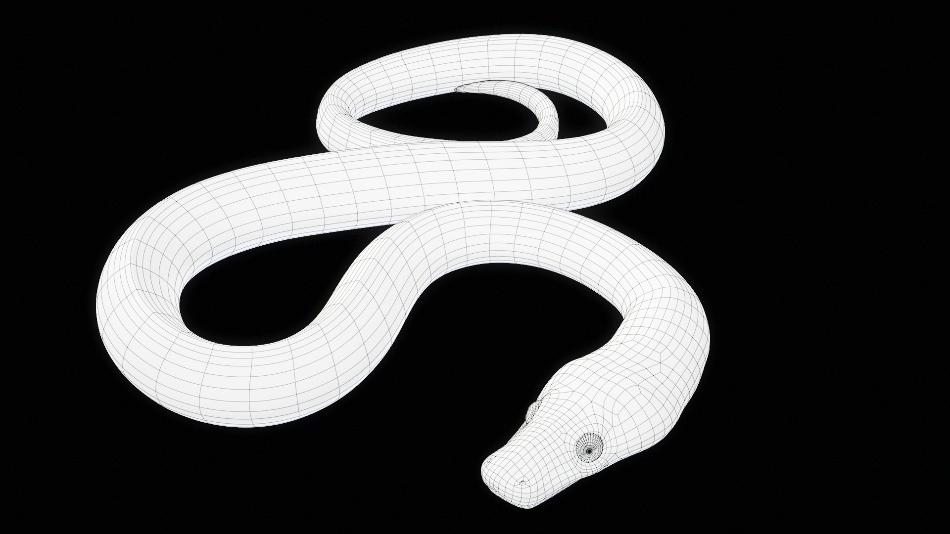 Ball Royal Python Snake Rigged PBR 3D model https://p.turbosquid.com/ts-thumb/Zy/AVeR01/2t/z00/png/1709728381/1920x1080/turn_fit_q99/b0f68bb65acf6a32dee23efbe8ee385b9973d838/z00-1.jpg