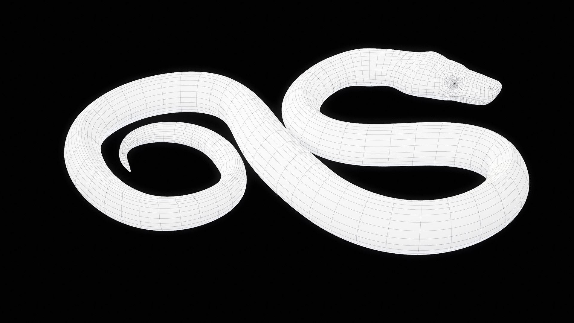 Ball Royal Python Snake Rigged PBR 3D model https://p.turbosquid.com/ts-thumb/Zy/AVeR01/3x/turncwire_00009/png/1709727950/1920x1080/fit_q87/616d5dc9d28e3bf9f89e9abeec57ed8acebf6360/turncwire_00009.jpg