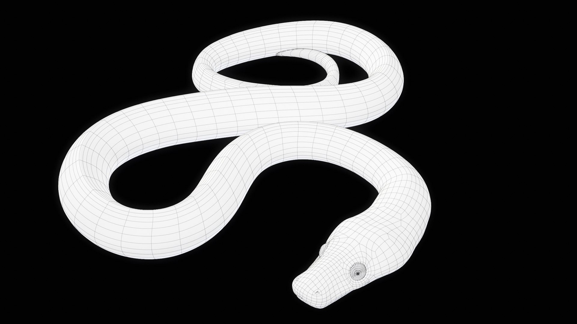 Ball Royal Python Snake Rigged PBR 3D model https://p.turbosquid.com/ts-thumb/Zy/AVeR01/4S/turncwire_00000/png/1709727945/1920x1080/fit_q87/985595ba4d6968d055b66516142de9b8bbb53aff/turncwire_00000.jpg