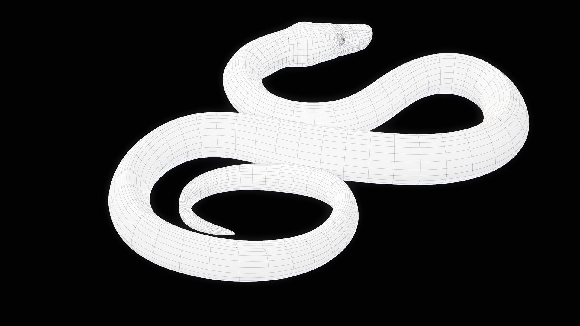 Ball Royal Python Snake Rigged PBR 3D model https://p.turbosquid.com/ts-thumb/Zy/AVeR01/4r/turncwire_00013/png/1709727952/1920x1080/fit_q87/40a9cb69aa8f3aa208fb665c7a0646d38110ec35/turncwire_00013.jpg