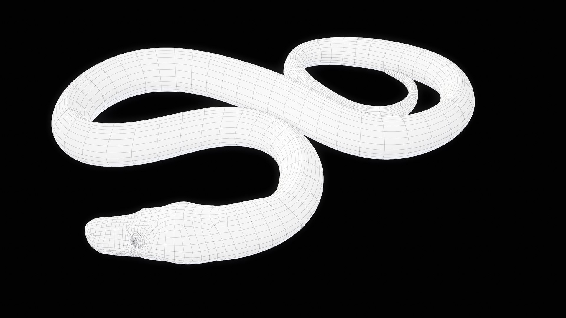 Ball Royal Python Snake Rigged PBR 3D model https://p.turbosquid.com/ts-thumb/Zy/AVeR01/Ag/turncwire_00026/png/1709727960/1920x1080/fit_q87/49ff459efab9ec72c0e256e486faabd25661b00f/turncwire_00026.jpg