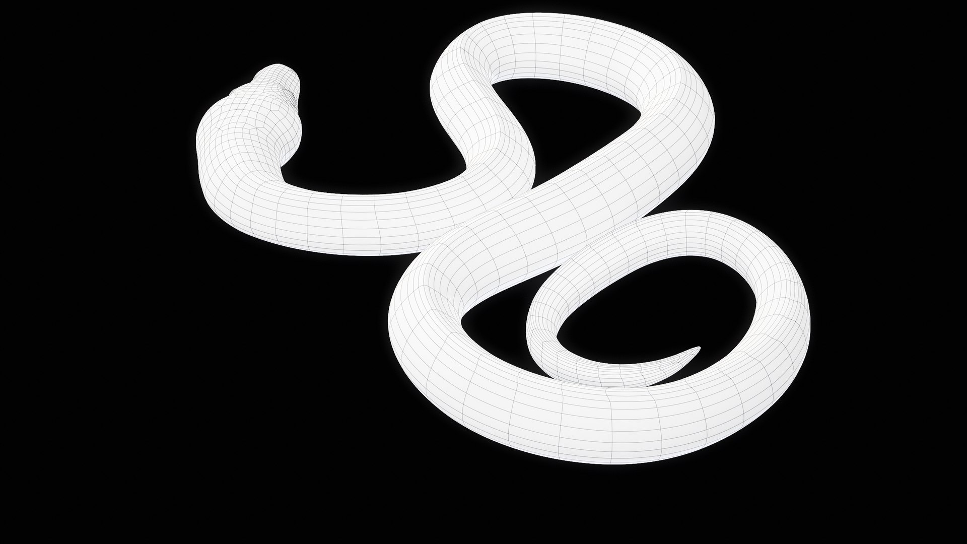 Ball Royal Python Snake Rigged PBR 3D model https://p.turbosquid.com/ts-thumb/Zy/AVeR01/B8/turncwire_00018/png/1709727955/1920x1080/fit_q87/6d77f215ca0e5b2cb1a4e86f111ae1592da21238/turncwire_00018.jpg