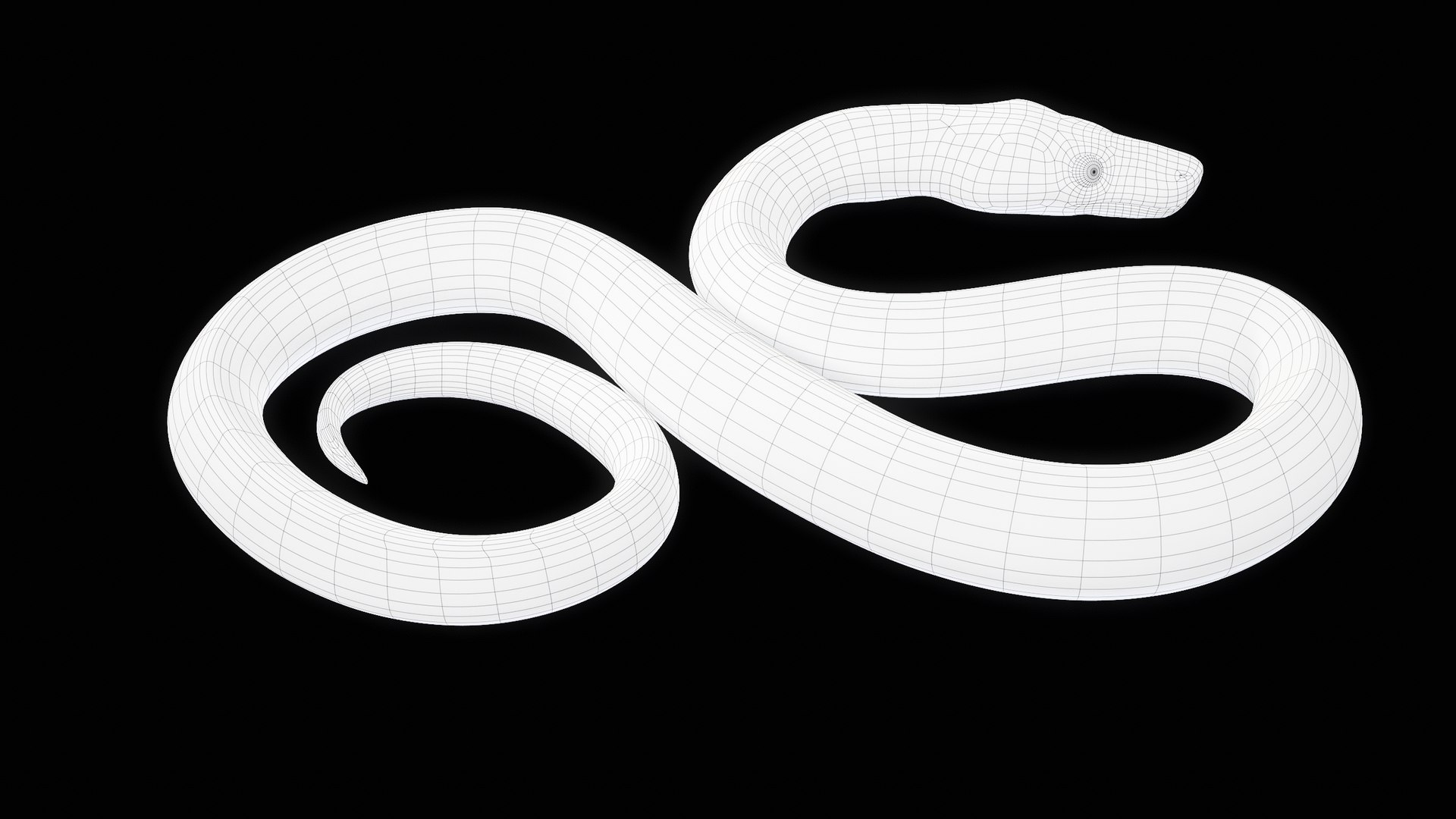 Ball Royal Python Snake Rigged PBR 3D model https://p.turbosquid.com/ts-thumb/Zy/AVeR01/BL/turncwire_00010/png/1709727951/1920x1080/fit_q87/67673346e3fc8b5b91d825915974d267929f5cdf/turncwire_00010.jpg