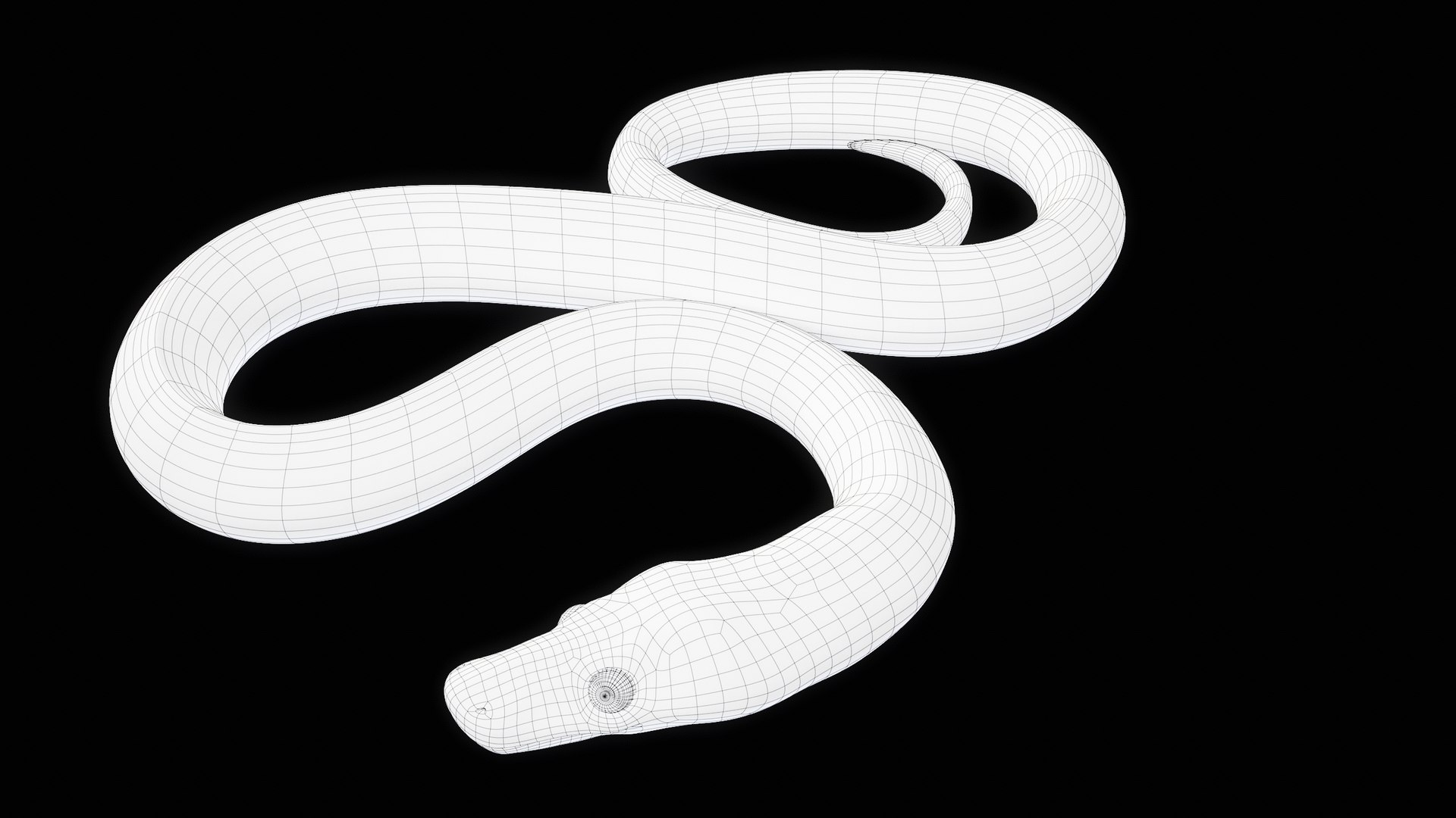 Ball Royal Python Snake Rigged PBR 3D model https://p.turbosquid.com/ts-thumb/Zy/AVeR01/Bx/turncwire_00028/png/1709727961/1920x1080/fit_q87/8fc1e0e6e25471348361dd47dd2ea960d4ca3d85/turncwire_00028.jpg