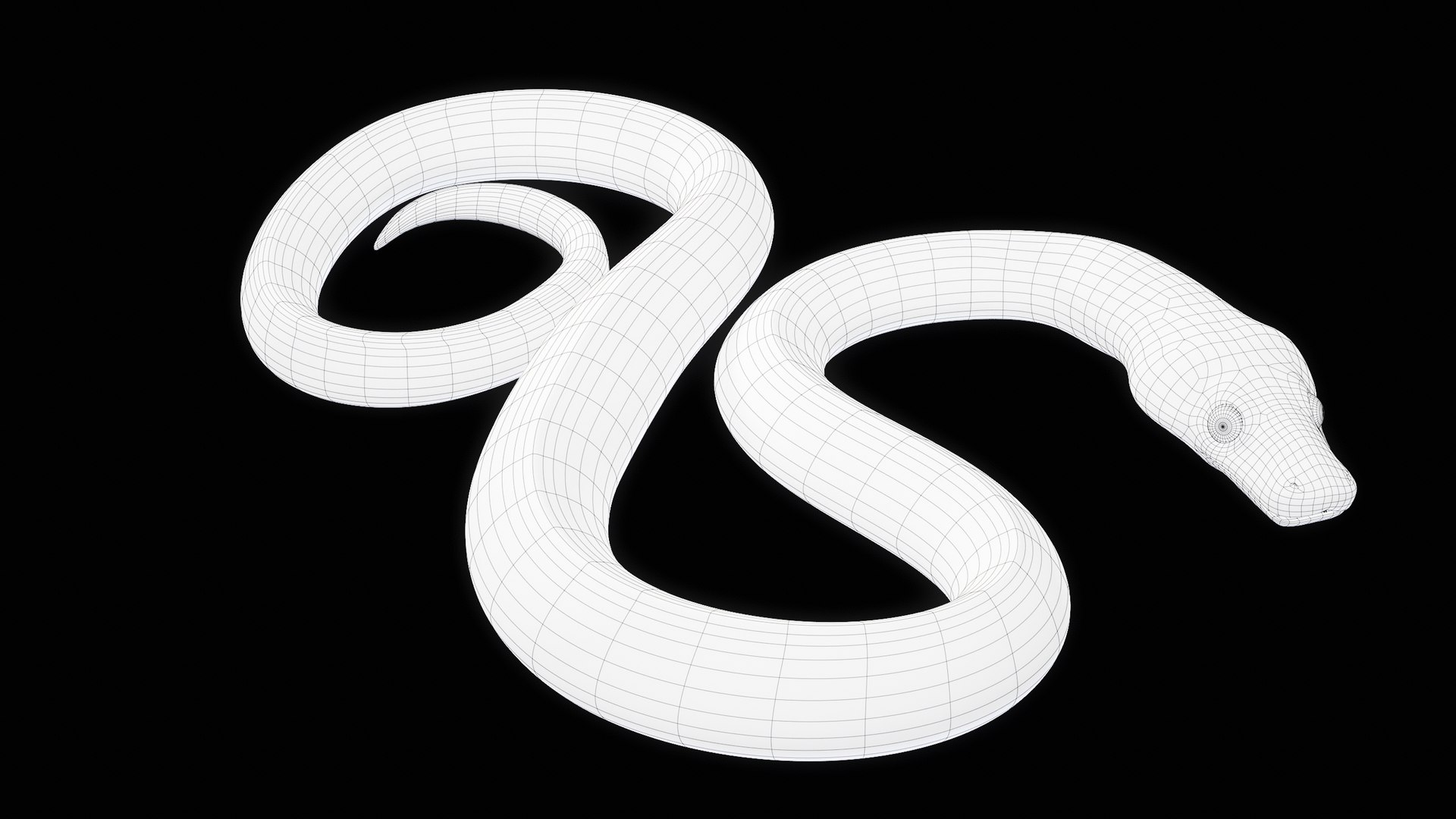 Ball Royal Python Snake Rigged PBR 3D model https://p.turbosquid.com/ts-thumb/Zy/AVeR01/DL/turncwire_00005/png/1709727948/1920x1080/fit_q87/1b230f51530483088c3bbef0d155527d54f6044d/turncwire_00005.jpg