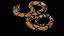 Palla Royal Python Snake truccato PBR