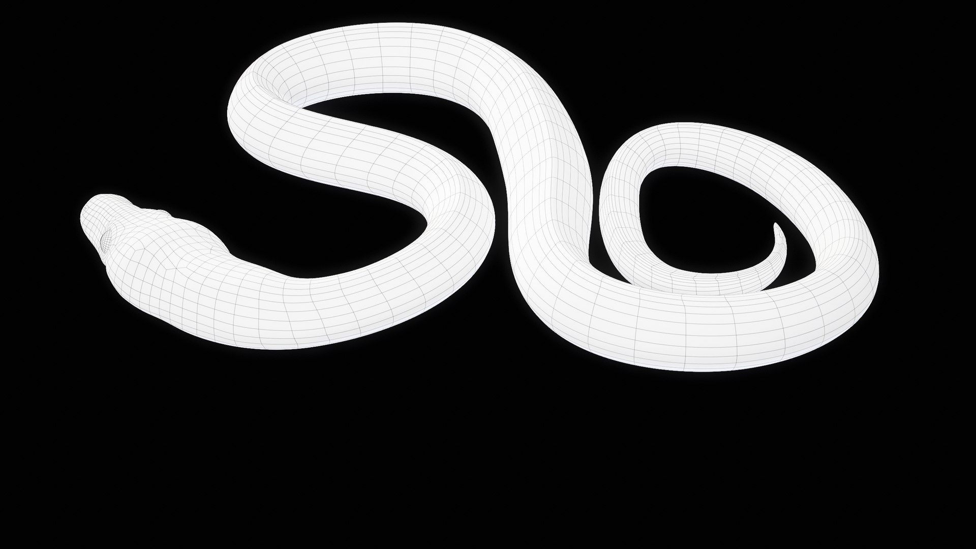Ball Royal Python Snake Rigged PBR 3D model https://p.turbosquid.com/ts-thumb/Zy/AVeR01/Np/turncwire_00022/png/1709727957/1920x1080/fit_q87/449df3fef34c7b4e0db790ee38c10442acd0b80d/turncwire_00022.jpg